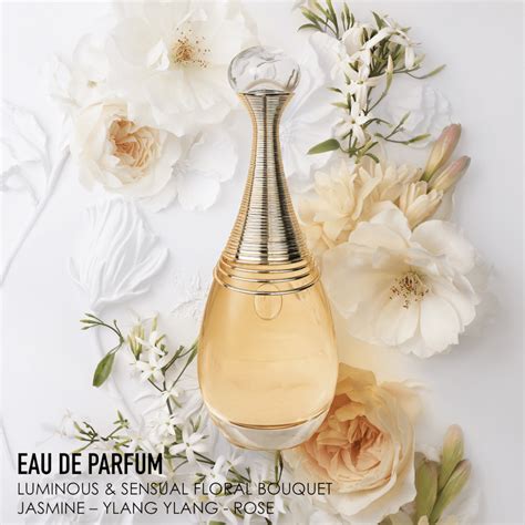 j adore perfume cvs|More.